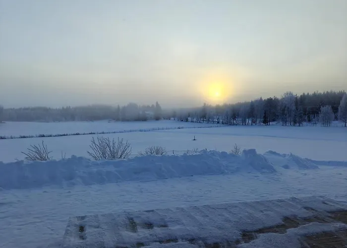 Villa Tolonen וילה