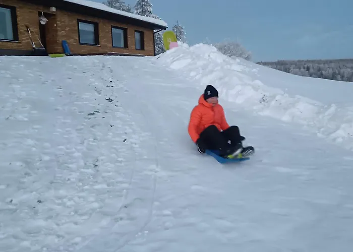 וילה Villa Tolonen *