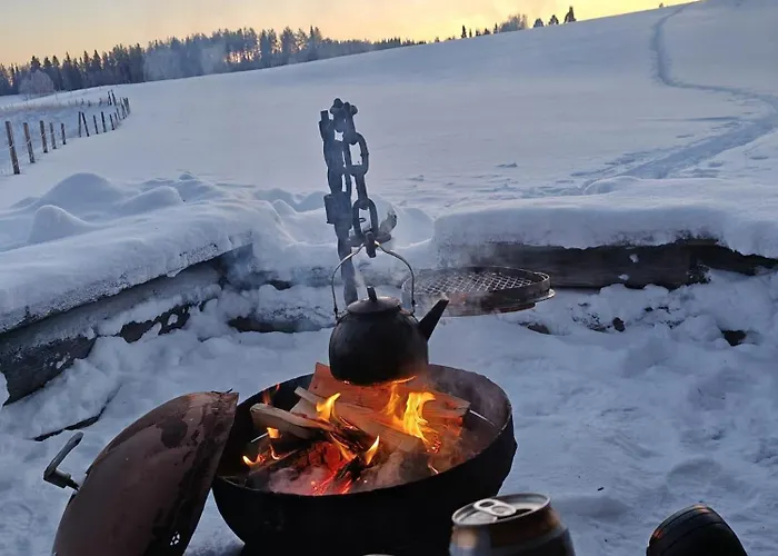 וילה Villa Tolonen Tolonen